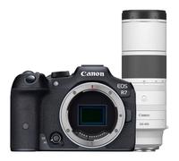 Canon EOS R7 + RF 200-800mm f/6.3-9 IS USM