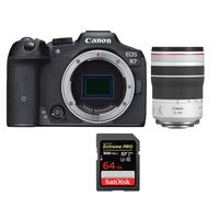 Canon EOS R7 + RF 70-200mm F4 L IS USM + SanDisk 64 Go Extreme PRO UHS-II SDXC 300 Mo/s