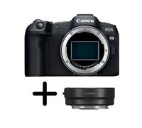 Canon Eos R8 + bague adaptation EF vers RF
