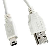 Canon IFC 400PCU - Câble de données - USB - USB type A, 4 broches (M) - Mini-USB, type B (M) - 1,5 m