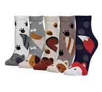 Cansok Lot de 5 paires de chaussettes fantaisie pour femme Motif renard, écureuil, raton laveur