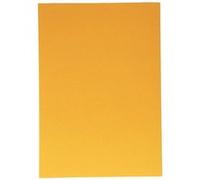 Canson-Infinity Papier couleur Iris Vivaldi A4 185 g/m² Paquet de 50 feuilles Cuir