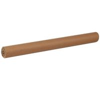 Canson 200992619 Rouleau de Papier ondulé 50 x70 cm Naturel