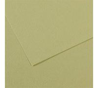 CANSON 21983 Papier Dessin Feuille Mi-teinte N.480 Grain Gélatiné Haute Teneur Coton 160g 50x65cm Amande Gris