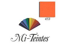 Canson 24782 Papier Dessin Feuille Mi-Teinte N.453 Grain Gélatiné Haute Teneur Coton 160g 50x65cm Blanc