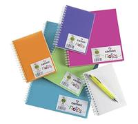 Canson - Cahiers, bloc-notes - Canson Carnet de notes 120g/m² 100 pages A5 - 5 couleurs assorties