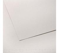 CANSON Feuille de papier dessin C A GRAIN 224g 50x65cm