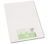 Canson Film Polyester Papier à dessin A3 29,7 x 42 cm Translucide Lot de 100