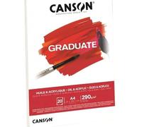 Canson Graduate papier d'art 20 feuilles G