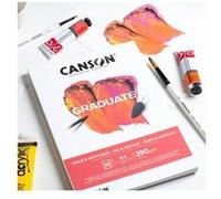 Canson Graduate papier d'art 20 feuilles G
