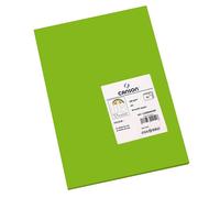 Canson Iris Vivaldi A3 185 GSM Smooth Colour Paper - Bright Green (Pack of 50 Sh