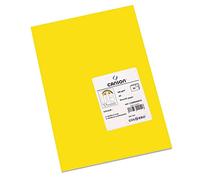 Canson Iris Vivaldi Papier couleur A3 Lisse 250g/m² 29,7 x 42 cm Jaune Fluo Lot de 50