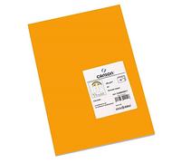 Canson Iris Vivaldi Papier couleur A3 Lisse 250g/m² 29,7 x 42 cm Orange Fluo Lot de 50
