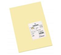 Canson Iris Vivaldi Papier D'art A3 50 Feuilles