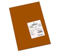 CANSON Iris Vivaldi - Paquet 50 feuilles de papier couleur A3 - 185g/m² - Chocolat