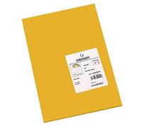 CANSON Iris Vivaldi - Paquet 50 feuilles de papier couleur A3 - 185g/m² - Cuir