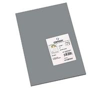 CANSON Iris Vivaldi - Paquet 50 feuilles de papier couleur A3 - 185g/m² - Gris foncé