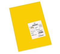 Paq/50 Cartulinas Iris A3 185G. Gualda - [Livre en VO] Inconnu (Auteur)