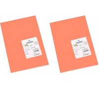 CANSON Iris Vivaldi - Paquet 50 feuilles de papier couleur A4-185g/m² - Corail (Lot de 2)