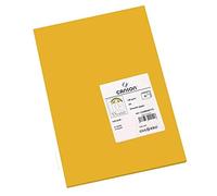 CANSON Iris Vivaldi - Paquet 50 feuilles de papier couleur A4 - 185g/m² - Cuir