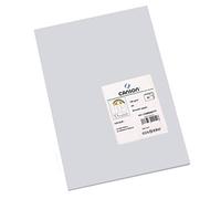CANSON Iris Vivaldi - Paquet 50 feuilles de papier couleur A4 - 185g/m² - Gris clair