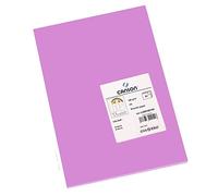 CANSON Iris Vivaldi - Paquet 50 feuilles de papier couleur A4 - 185g/m² - Mauve