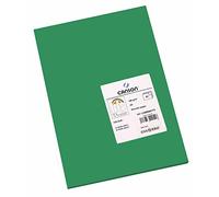 CANSON Iris Vivaldi - Paquet 50 feuilles de papier couleur A4 - 185g/m² - Vert mousse