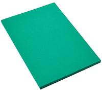 CANSON Iris Vivaldi - Paquet 50 feuilles de papier couleur A4 - 185g/m² - Vert sapin