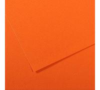 Canson Lot de 25 feuilles, 7 teintes 60% abeille 160 g (453), orange, 21 x 29,24