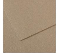 Canson Mi-Teintes 50x65 cm Gris Fumee 429 160 g Papiers couleur