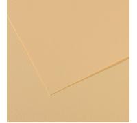 Canson Mi-Teintes 50x65 cm Lichen 407 160 g Papiers couleur