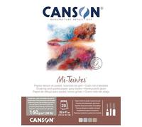 Canson-Infinity Bloc de papier dessin Mi-Teintes 20 feuilles 32x41 cm 160 g/m² Nuances de gris