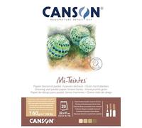 Canson-Infinity Papier beaux-arts Mi-Teintes en bloc 320 x 410 mm G