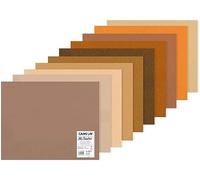 CANSON Mi-Teintes - Paquet 10 feuilles de papier dessin couleur - Double Face : Grain alvéolé nid d’abeilles et Grain fin - 50 x 65 cm - 160g/m² - Nuances de brun, Tons Bruns