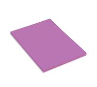 Canson MiTeintes Papier à dessin A4 160g/m² Grain nid d'abeille 2 1 x 29,7 cm Myrtille Lot de 50