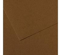 Canson Pack de 25 feuilles, 7 teintes 60% abeille 160 g (501), marron foncé, 21 x 29,41