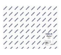 CANSON Papier aquarelle 'Montval', 300 g/m2, 500 x 650 mm