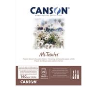 CANSON Papier beaux-arts Mi-Teintes, en bloc, 240 x 320 mm