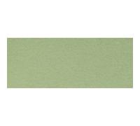 Canson Papier Mi-Teintes® Vert Amande