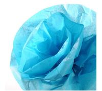 Canson-Infinity Rouleaux papier de soie 0,5 x 5 m Bleu turquoise