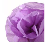 CA02 RLX PAP.SOIE 0,5X5M LILAS