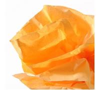 CANSON Rouleau Papier Soie 50x500 cm 20g Orange
