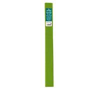 Canson Rouleaux de 10 Papiers crépons supérieur 48 g/m² 0,5 x 2,5 m Vert Printemps