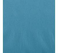 Canson Rouleaux de papier crêpé turquoise 0,5x2,5m 48g/m² pour l'art et l'artisanat