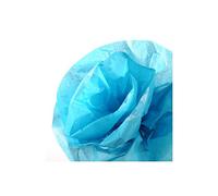 Canson Rouleaux Papier de soie 0,5 x 5 m Bleu Turquoise