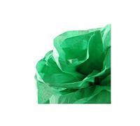 Canson Rouleaux Papier de soie 0,5 x 5 m Vert franc