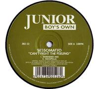 Can't Fight the Feeling [12 [Vinyl Single]