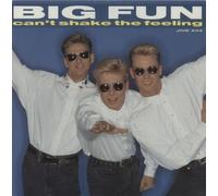 Can't shake the feeling (1989) / Vinyl single [Vinyl-Single 7'']