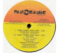 Can't Shake Your Love