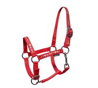 Cantar forestier Start Ilovemini